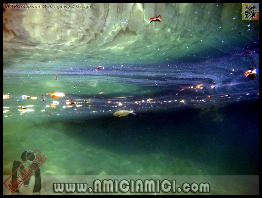 Fiume_Taro_044 - Fiume Taro 2015 - 471 KB
