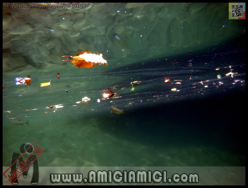 Fiume_Taro_045 - Fiume Taro 2015 - 386 KB