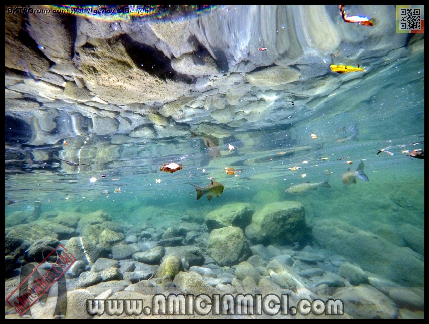 Fiume_Taro_046 - Fiume Taro 2015 - 528 KB