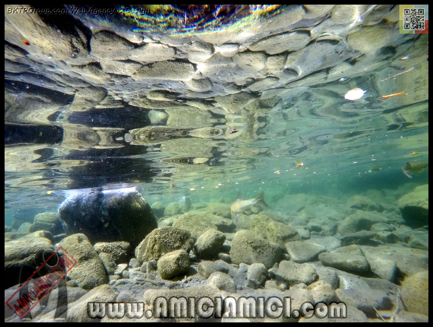 Fiume_Taro_047 - Fiume Taro 2015 - 548 KB