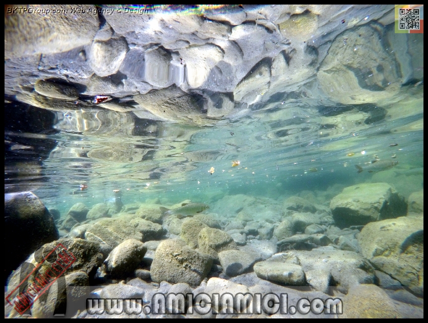 Fiume_Taro_048 - Fiume Taro 2015 - 523 KB