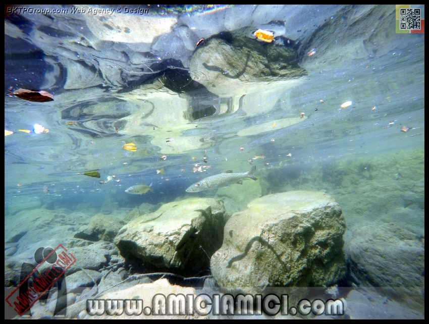 Fiume_Taro_049 - Fiume Taro 2015 - 497 KB