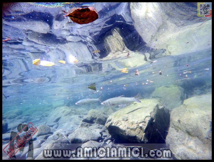 Fiume_Taro_050 - Fiume Taro 2015 - 497 KB