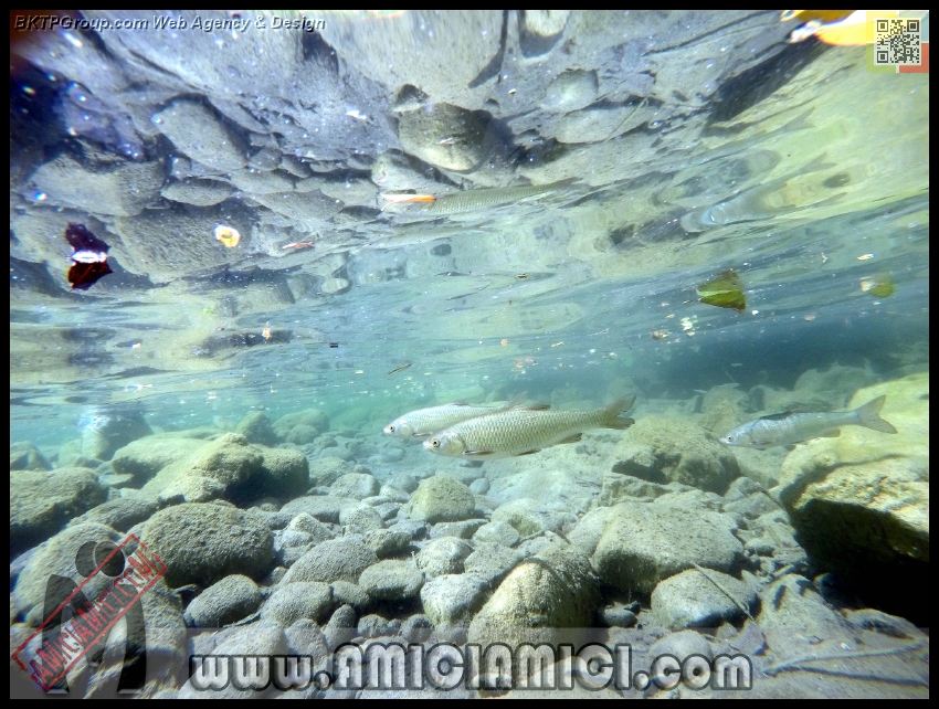 Fiume_Taro_051 - Fiume Taro 2015 - 518 KB