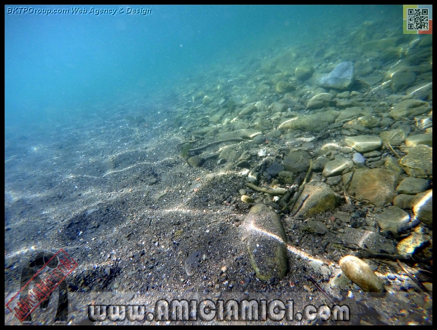 Fiume_Taro_058 - Fiume Taro 2015 - 567 KB