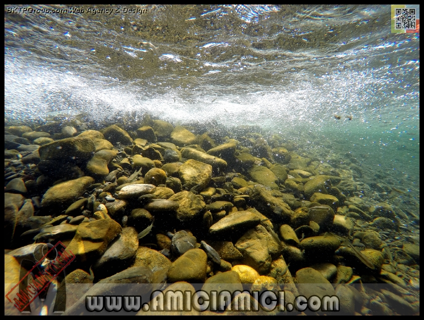 Fiume_Taro_074 - Fiume Taro 2015 - 620 KB