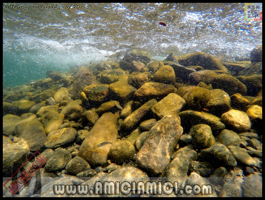 Fiume_Taro_078 - Fiume Taro 2015 - 627 KB