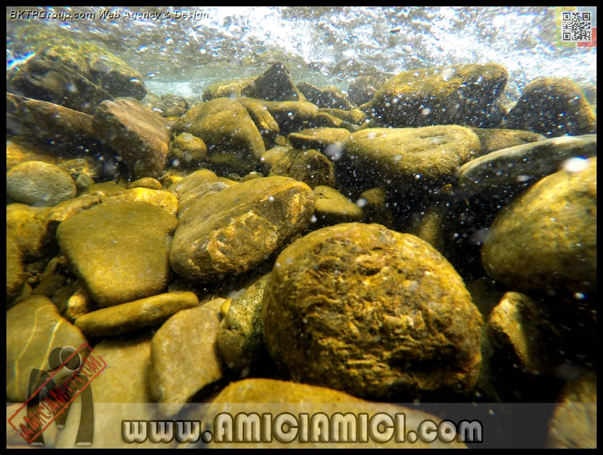 Fiume_Taro_079 - Fiume Taro 2015 - 530 KB