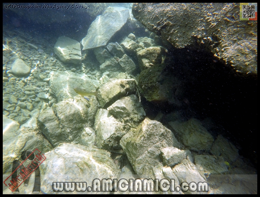 Fiume_Taro_080 - Fiume Taro 2015 - 527 KB