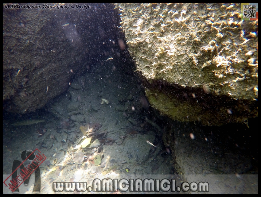 Fiume_Taro_082 - Fiume Taro 2015 - 532 KB