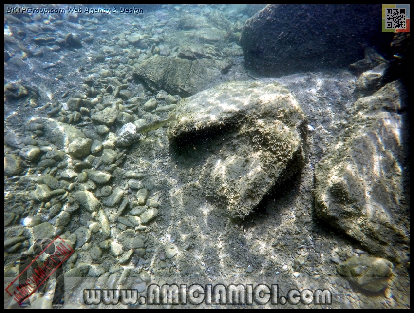 Fiume_Taro_083 - Fiume Taro 2015 - 604 KB