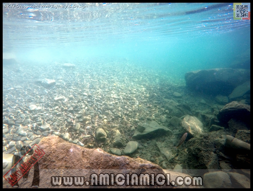 Fiume_Taro_084 - Fiume Taro 2015 - 474 KB