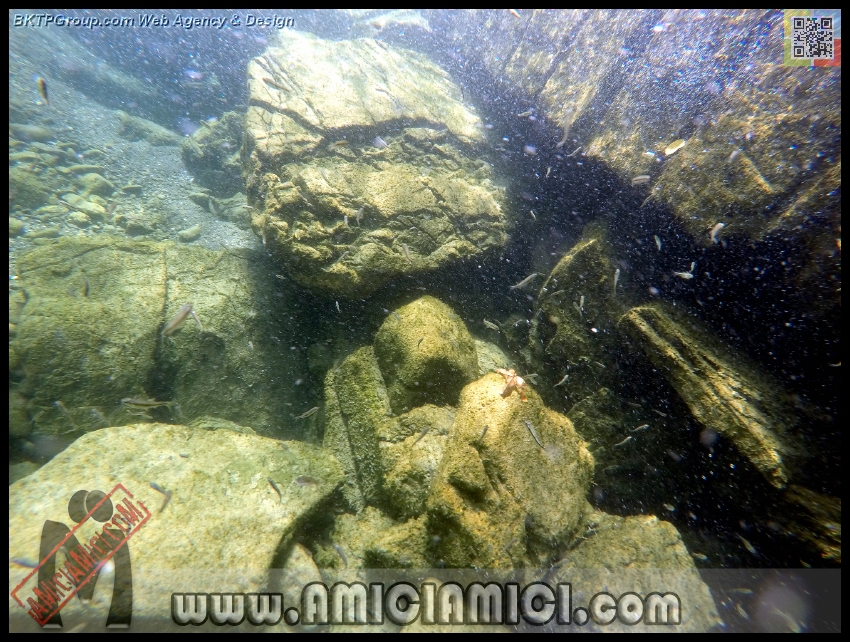 Fiume_Taro_085 - Fiume Taro 2015 - 580 KB