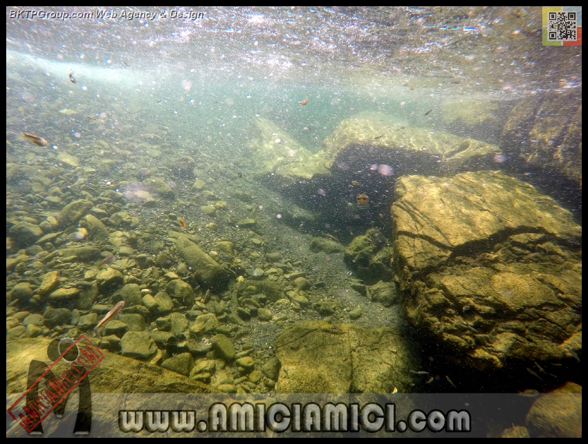 Fiume_Taro_086 - Fiume Taro 2015 - 579 KB