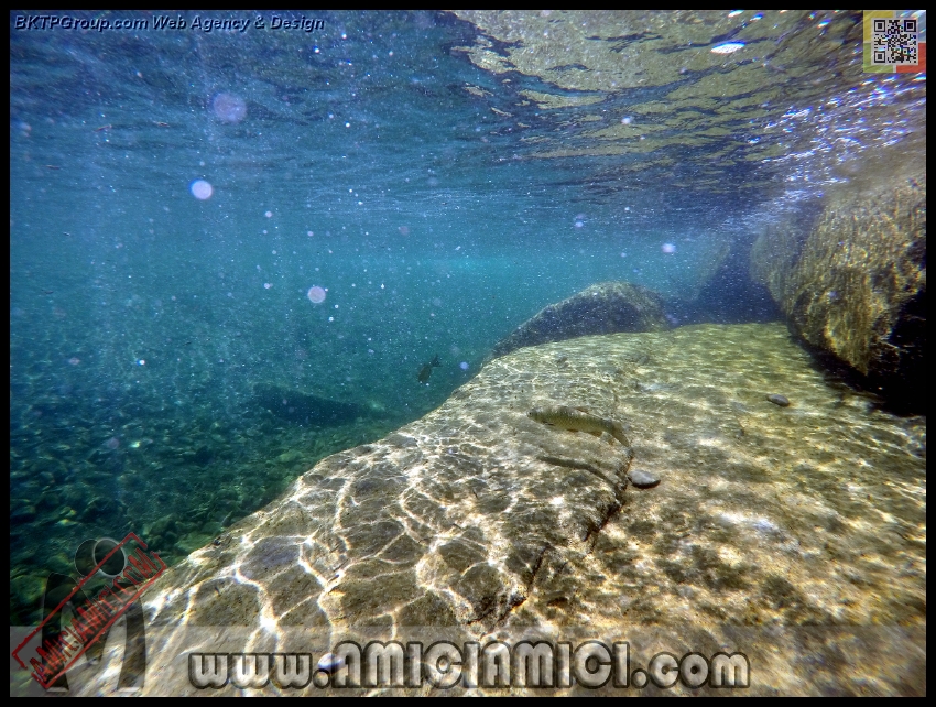Fiume_Taro_097 - Fiume Taro 2015 - 561 KB