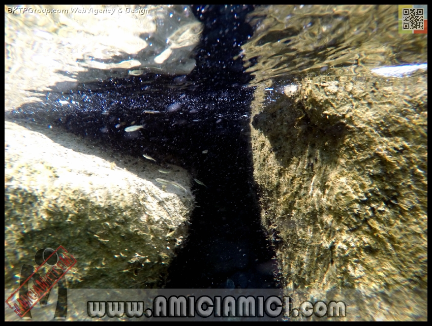 Fiume_Taro_099 - Fiume Taro 2015 - 532 KB