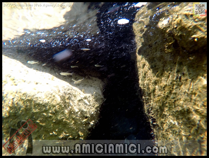 Fiume_Taro_100 - Fiume Taro 2015 - 492 KB