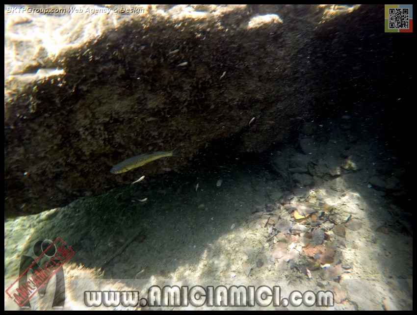 Fiume_Taro_101 - Fiume Taro 2015 - 455 KB