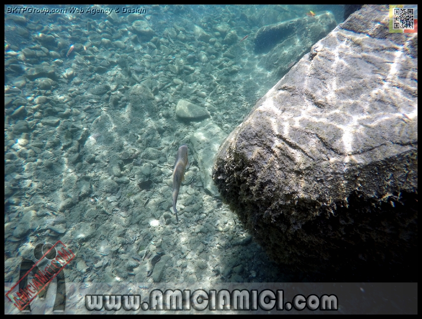 Fiume_Taro_102 - Fiume Taro 2015 - 560 KB
