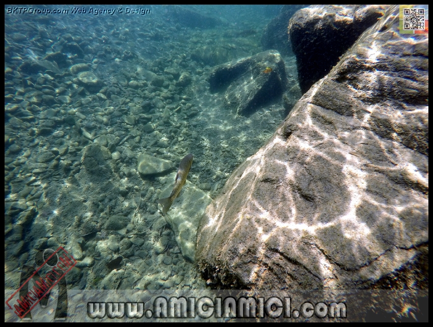 Fiume_Taro_103 - Fiume Taro 2015 - 589 KB
