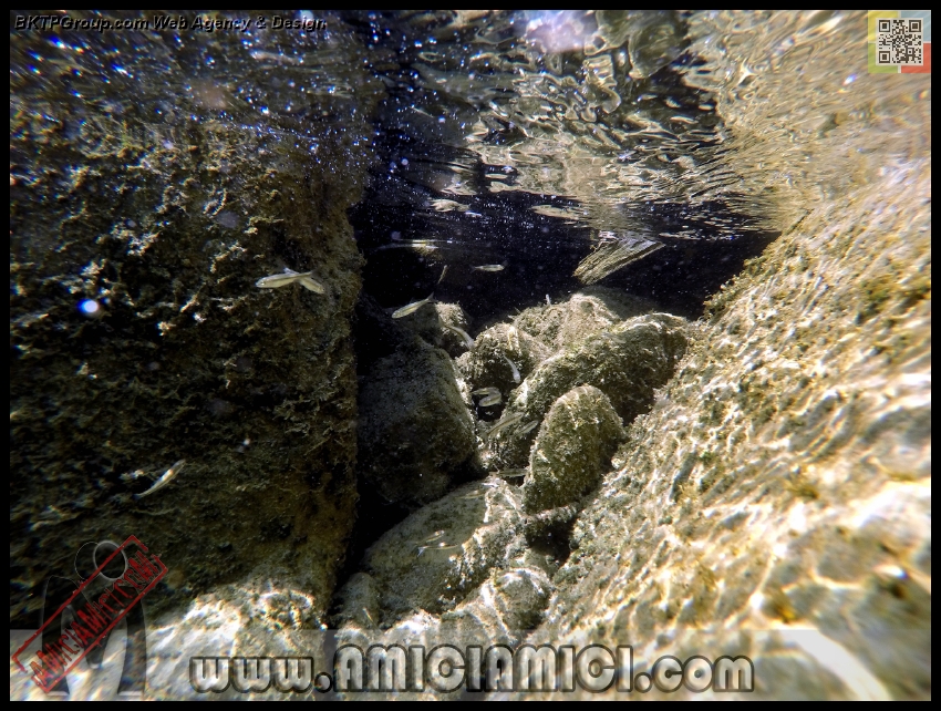 Fiume_Taro_105 - Fiume Taro 2015 - 580 KB