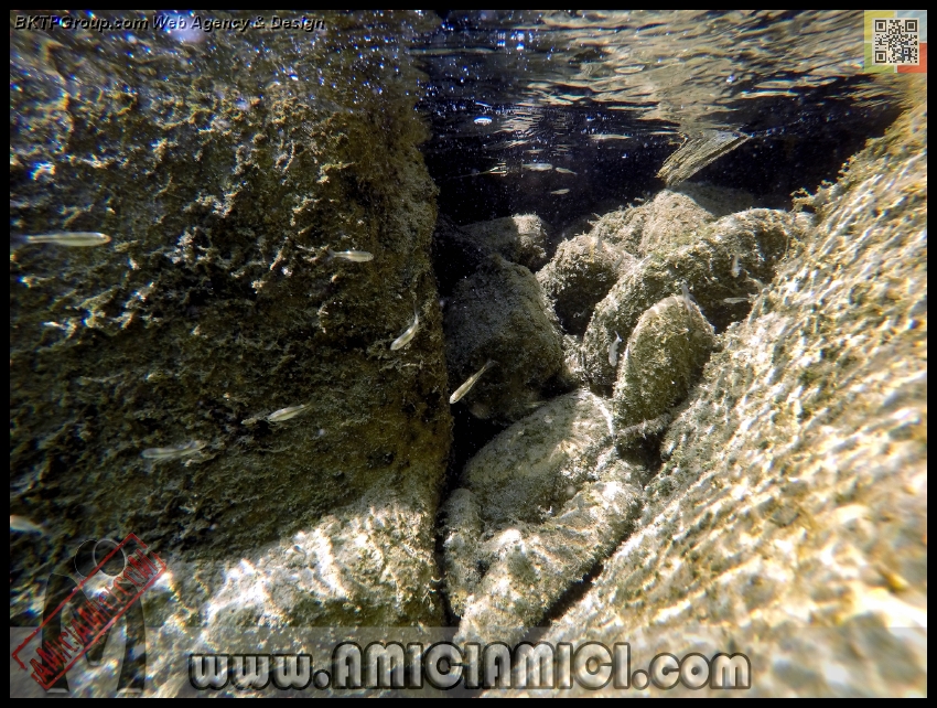 Fiume_Taro_106 - Fiume Taro 2015 - 599 KB