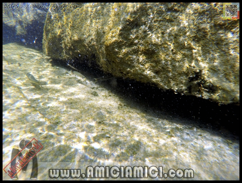 Fiume_Taro_107 - Fiume Taro 2015 - 558 KB