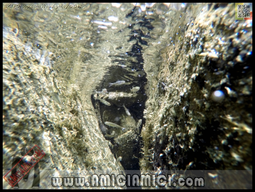 Fiume_Taro_108 - Fiume Taro 2015 - 515 KB