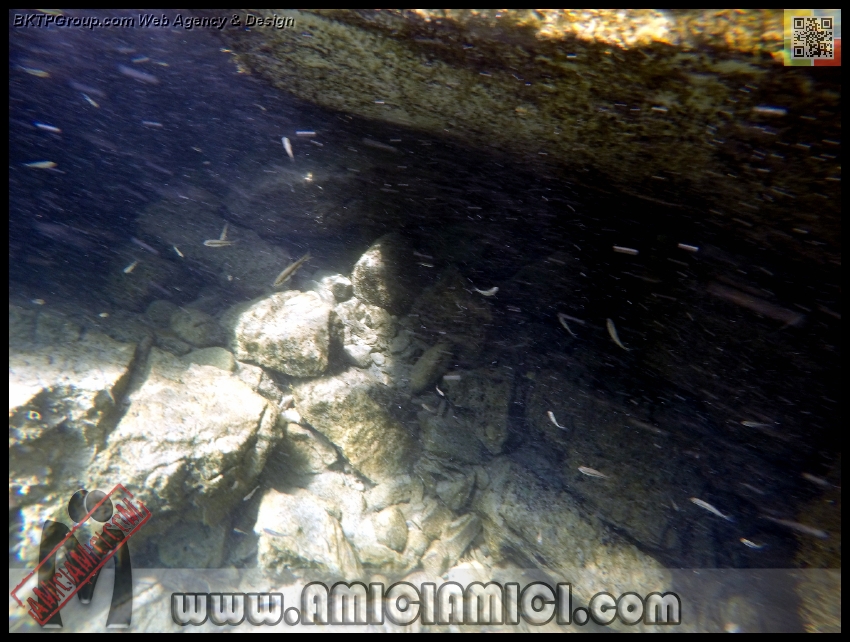 Fiume_Taro_109 - Fiume Taro 2015 - 434 KB