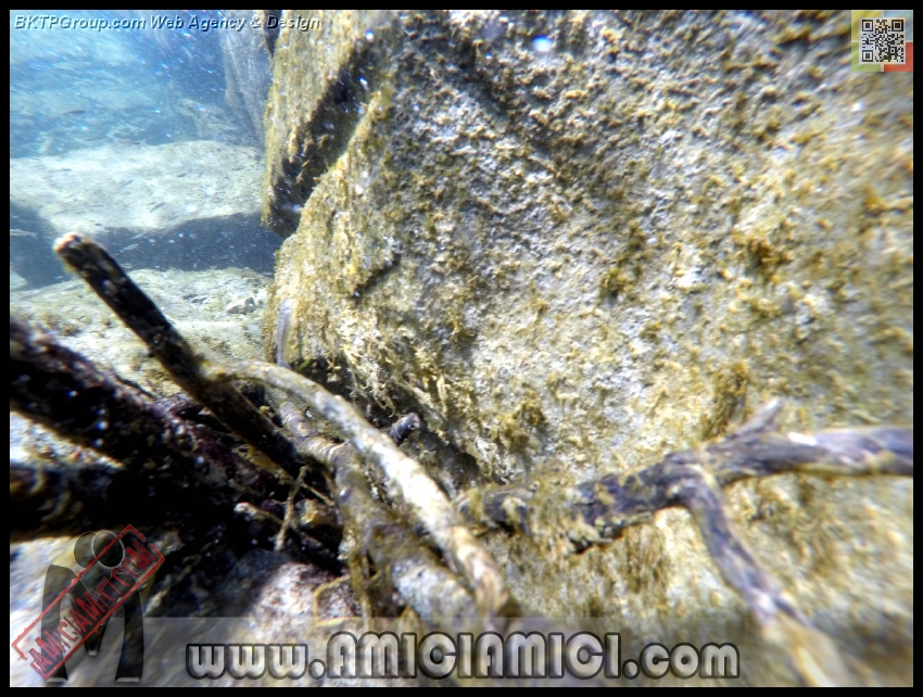 Fiume_Taro_110 - Fiume Taro 2015 - 507 KB
