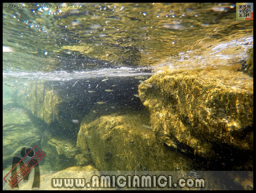 Fiume_Taro_111 - Fiume Taro 2015 - 582 KB