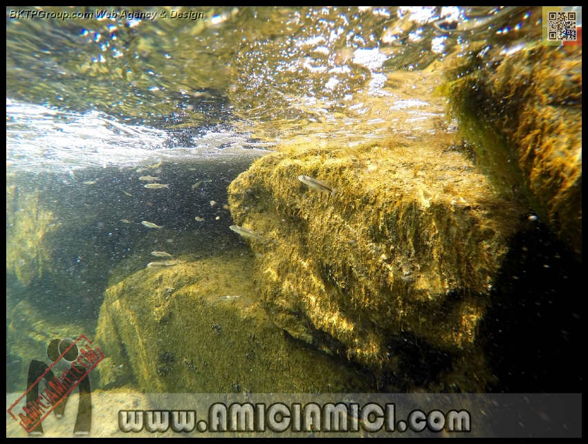Fiume_Taro_112 - Fiume Taro 2015 - 579 KB