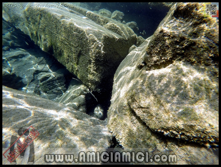 Fiume_Taro_113 - Fiume Taro 2015 - 629 KB