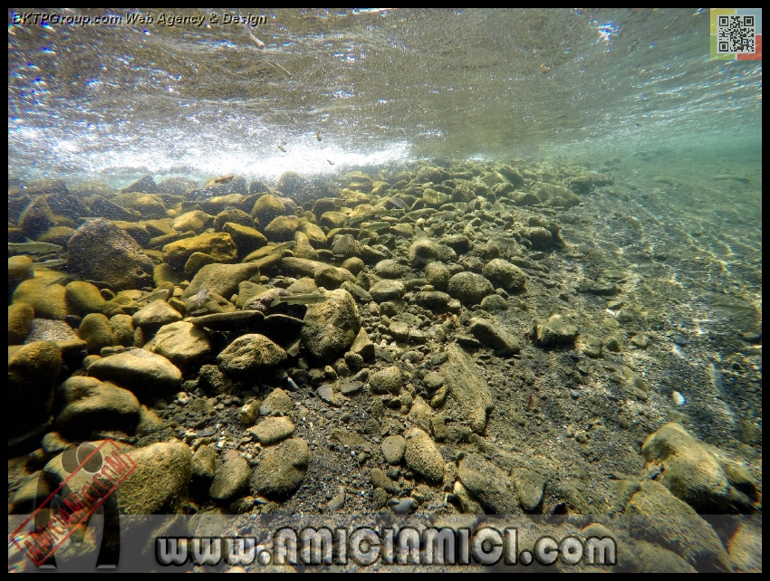 Fiume_Taro_114 - Fiume Taro 2015 - 647 KB