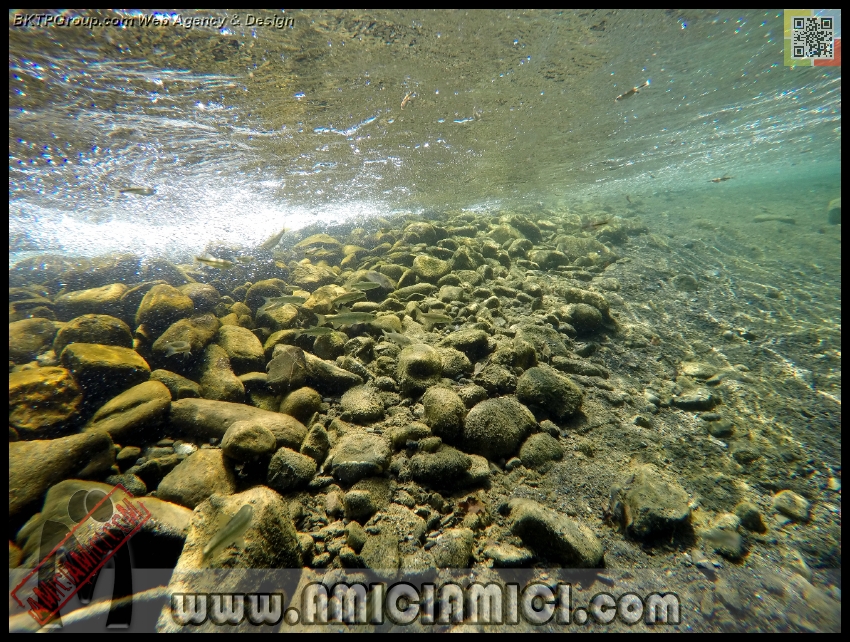 Fiume_Taro_115 - Fiume Taro 2015 - 632 KB