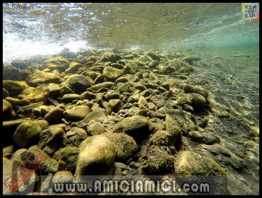 Fiume_Taro_116 - Fiume Taro 2015 - 625 KB