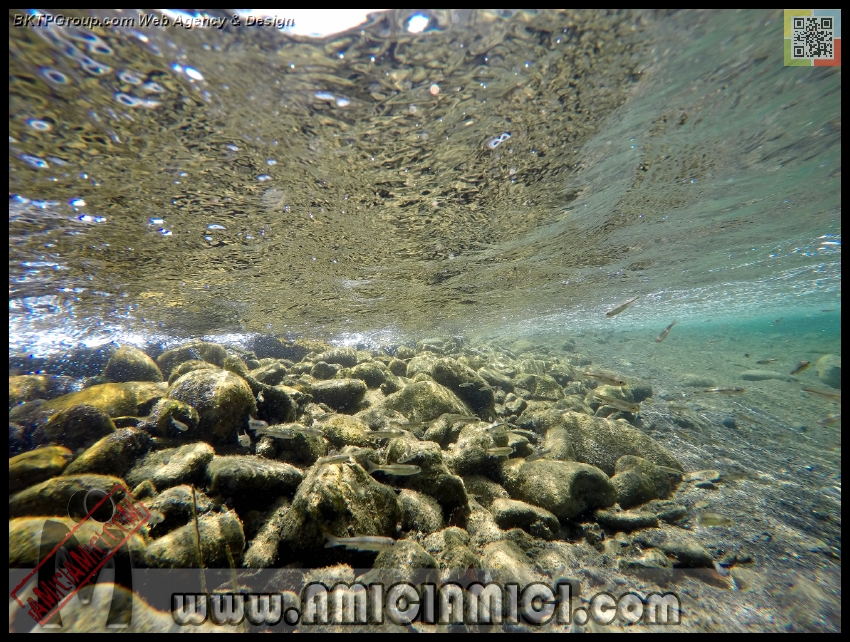 Fiume_Taro_118 - Fiume Taro 2015 - 592 KB