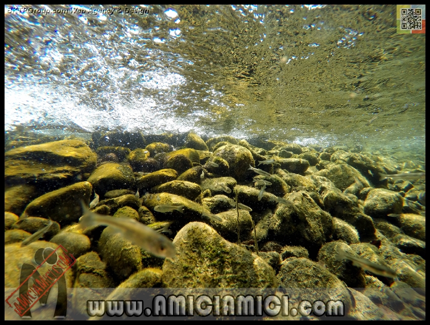 Fiume_Taro_119 - Fiume Taro 2015 - 641 KB