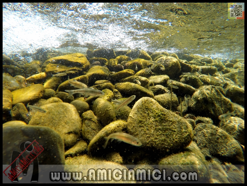 Fiume_Taro_120 - Fiume Taro 2015 - 612 KB