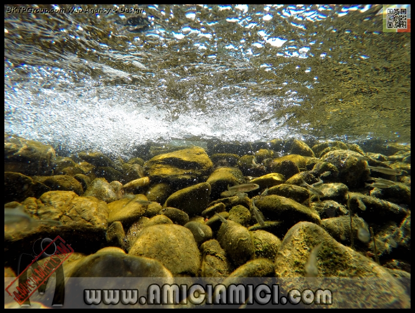 Fiume_Taro_121 - Fiume Taro 2015 - 636 KB