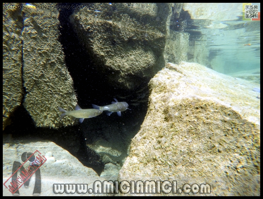 Fiume_Taro_126 - Fiume Taro 2015 - 586 KB