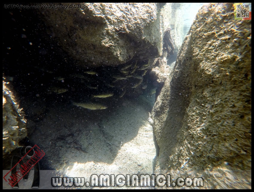 Fiume_Taro_127 - Fiume Taro 2015 - 516 KB