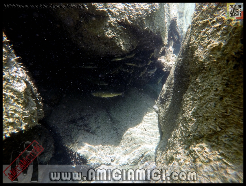 Fiume_Taro_128 - Fiume Taro 2015 - 525 KB