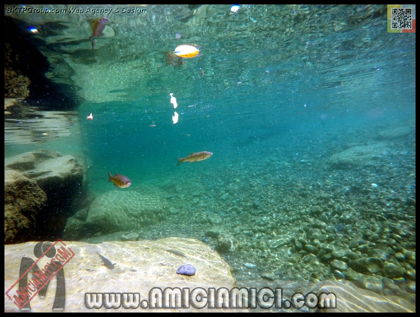 Fiume_Taro_129 - Fiume Taro 2015 - 533 KB