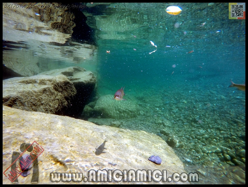 Fiume_Taro_130 - Fiume Taro 2015 - 538 KB