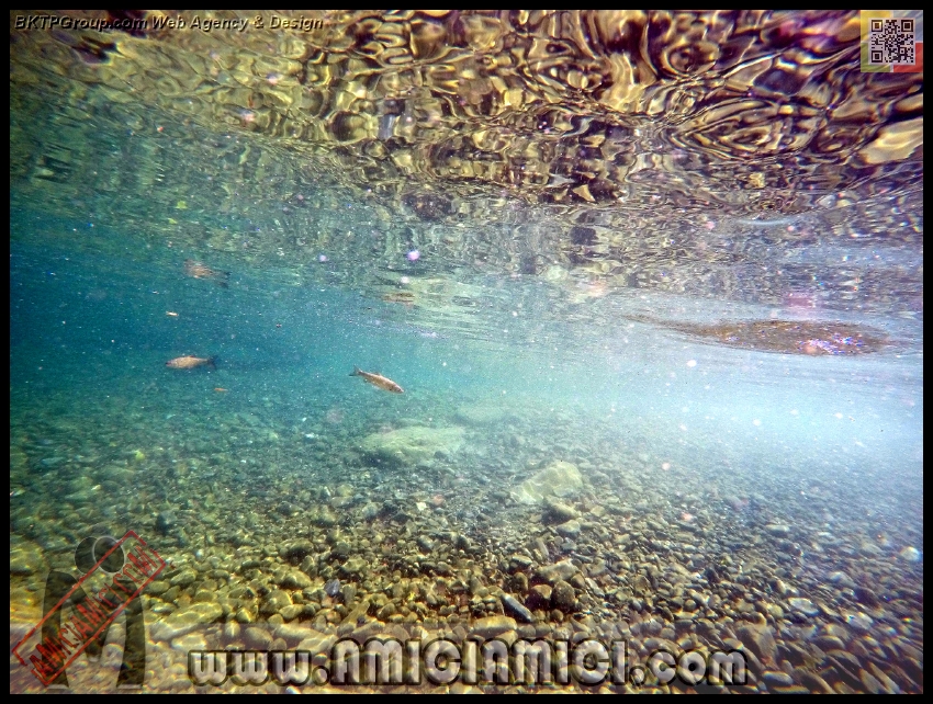 Fiume_Taro_131 - Fiume Taro 2015 - 606 KB