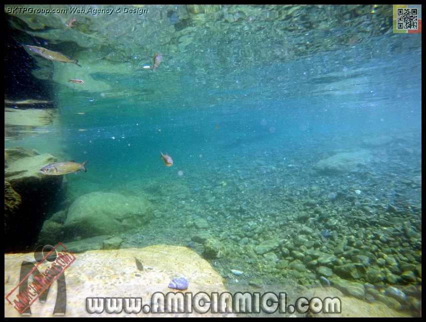 Fiume_Taro_132 - Fiume Taro 2015 - 513 KB