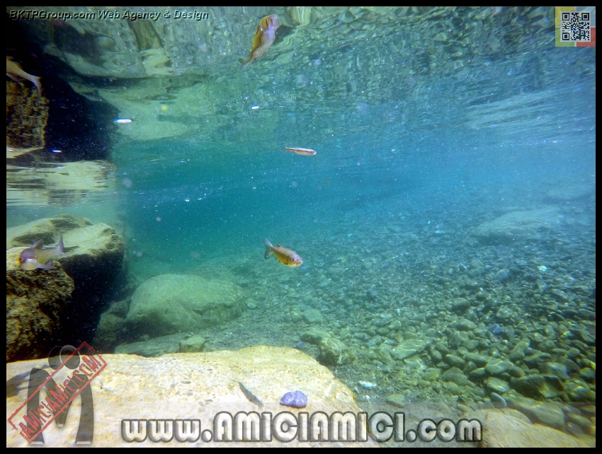 Fiume_Taro_133 - Fiume Taro 2015 - 511 KB