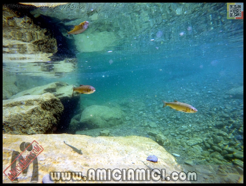 Fiume_Taro_134 - Fiume Taro 2015 - 524 KB
