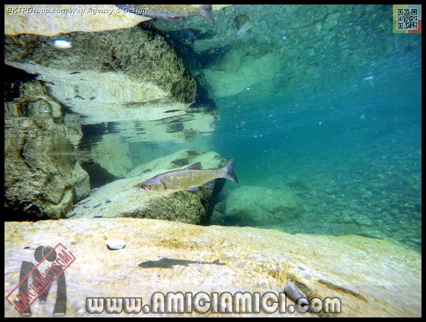 Fiume_Taro_135 - Fiume Taro 2015 - 540 KB